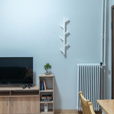 Entire Apt, 2 Bdrm, City Center アテネ エクステリア 写真